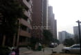 中环星干线户型图实景图