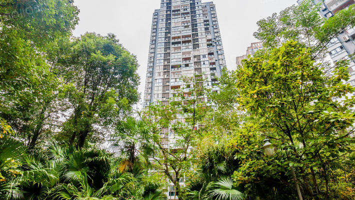 锦春绿岛外景图