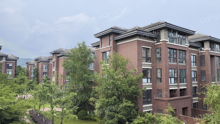 华府国际外景图