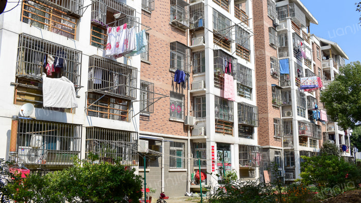 紫桐新村CD区外景图