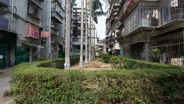 屿后南里外景图