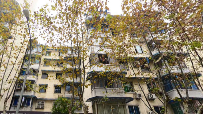 槐树街37号外景图