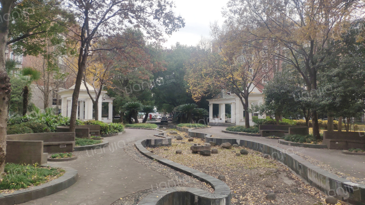 新西街82弄(闵行)外景图