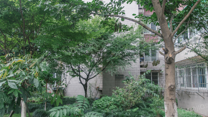 滨河公寓外景图