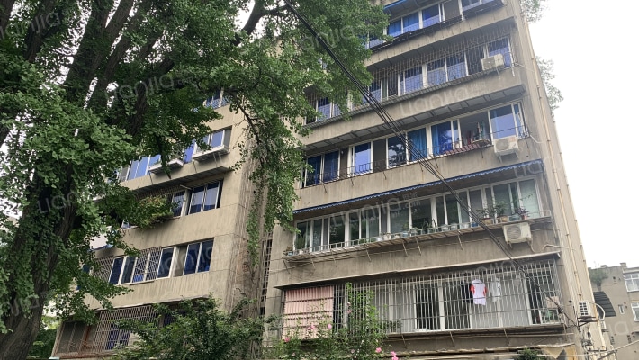 东大街81号外景图