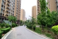荣盛城户型图实景图