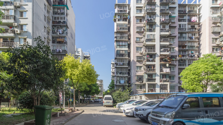 百姓之春外景图