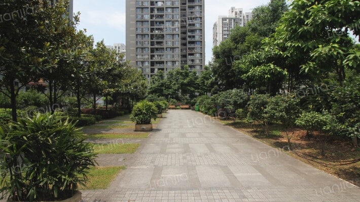 凤凰台（渝中）外景图