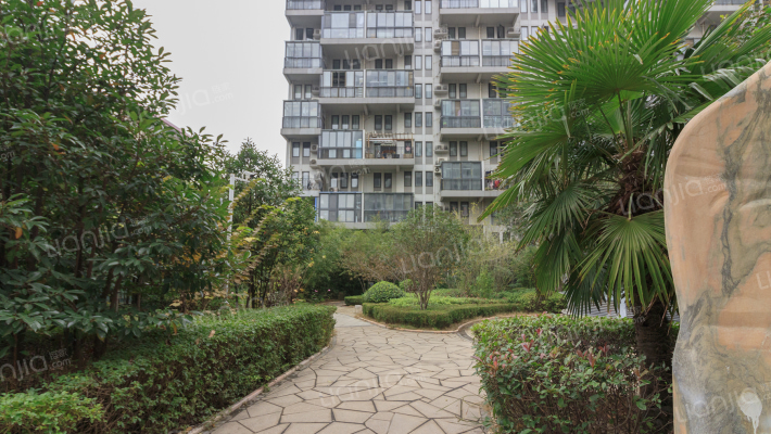 金印现代城外景图