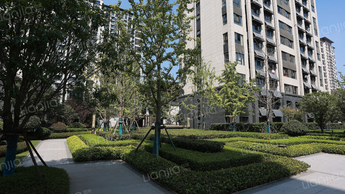 新城桃李郡外景图