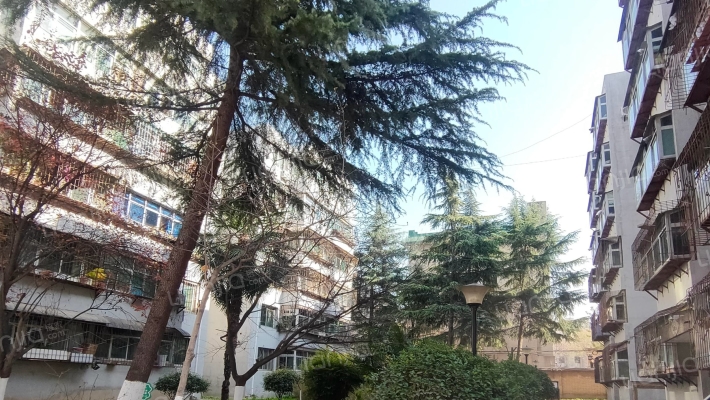 省气象局家属院外景图