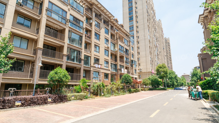 金色阳光外景图