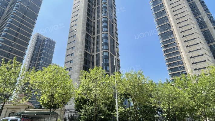 上实海上海外景图