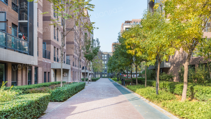 雅世合金公寓外景图