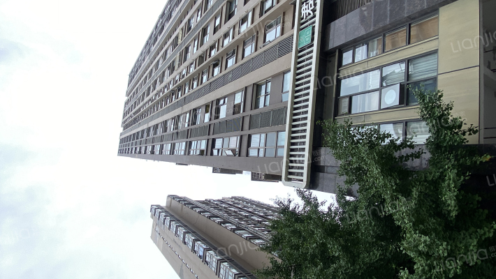 魏玛国际外景图