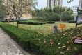 醫苑小區户型图实景图