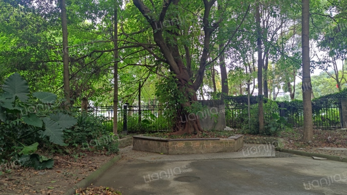 芙蓉家苑二期外景图