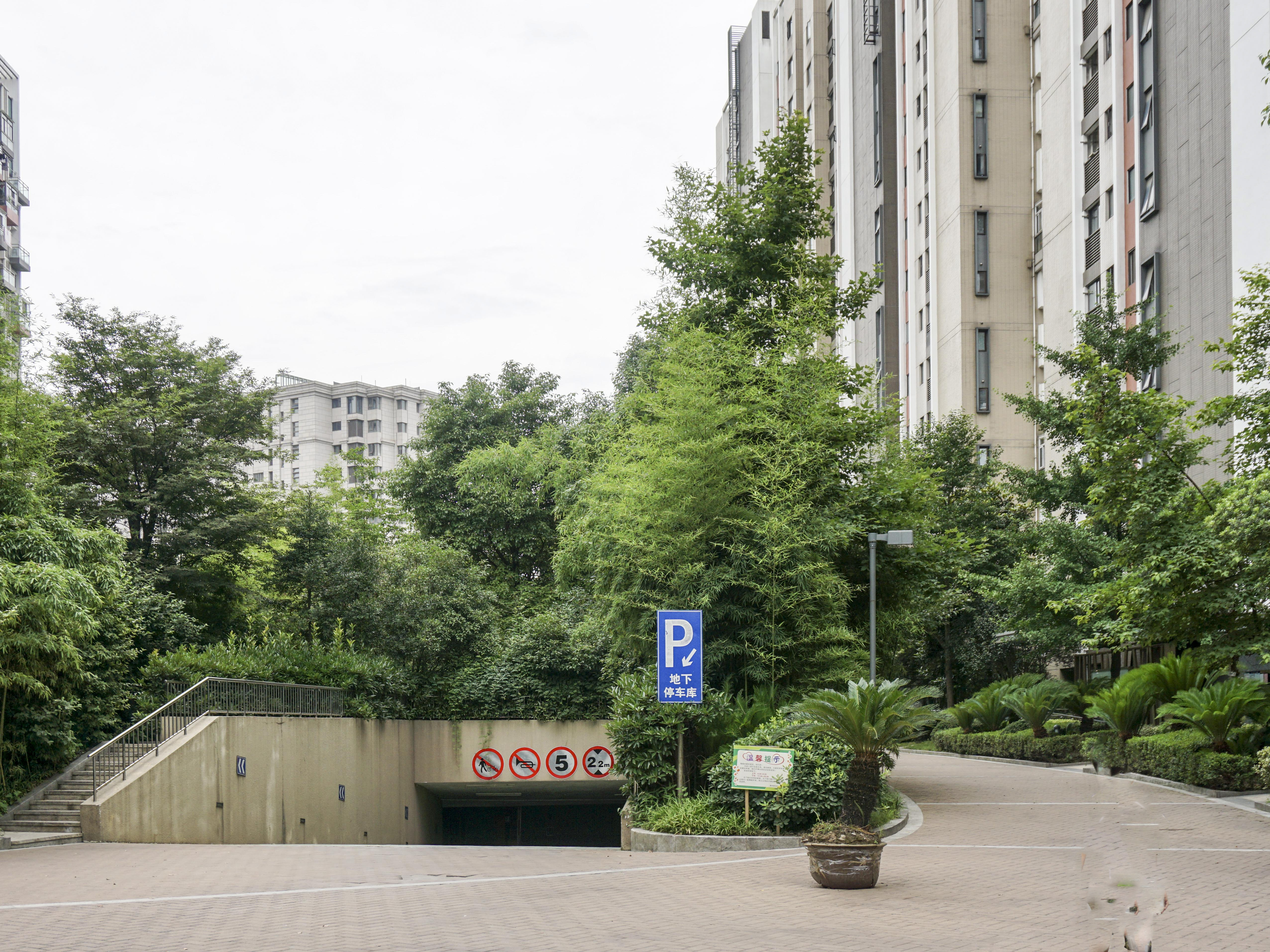 凯德视界小区实景 19