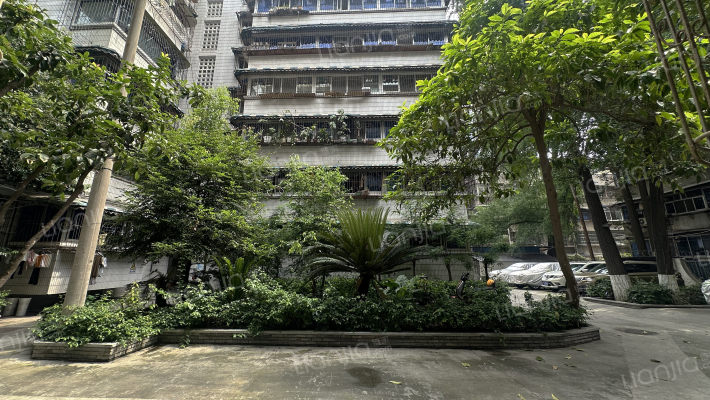 金河路69号外景图