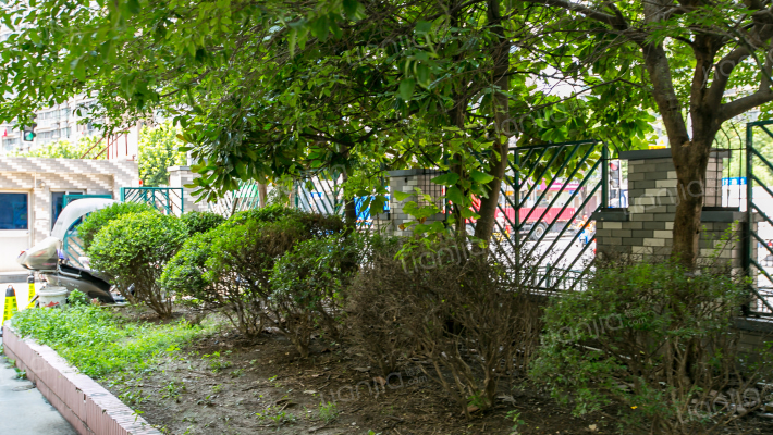 南国大厦外景图