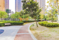 楚汉新居户型图实景图