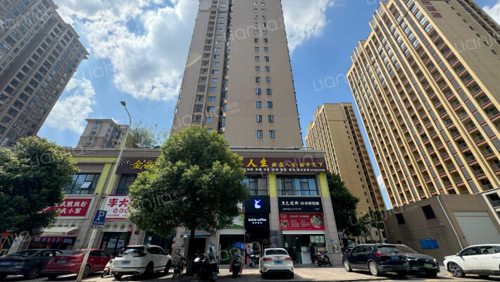 金洲新城外景图