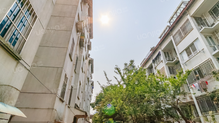 瓣莲巷散盘外景图