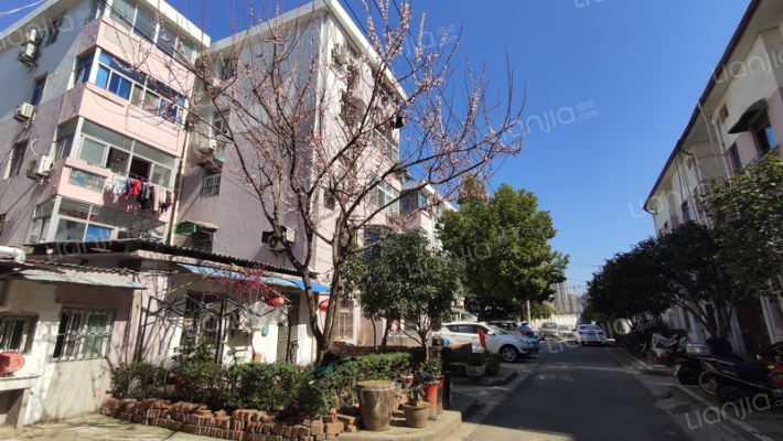 东门新村外景图