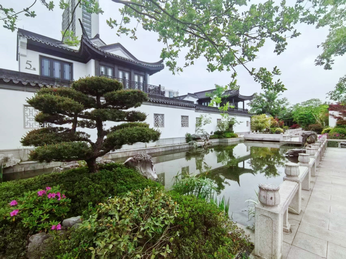 South Lake Moon  compound photo 8