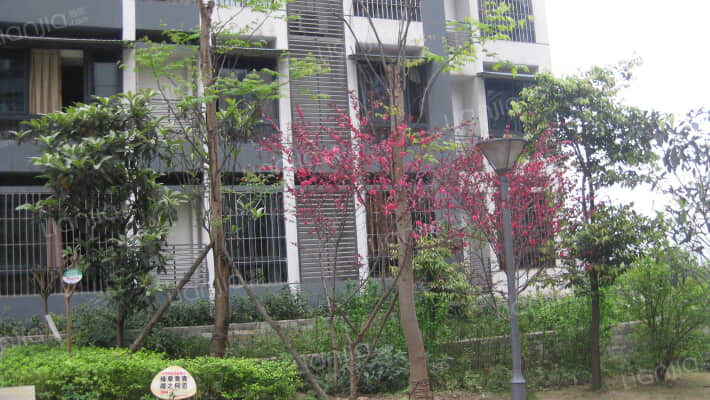 上城奥邻外景图