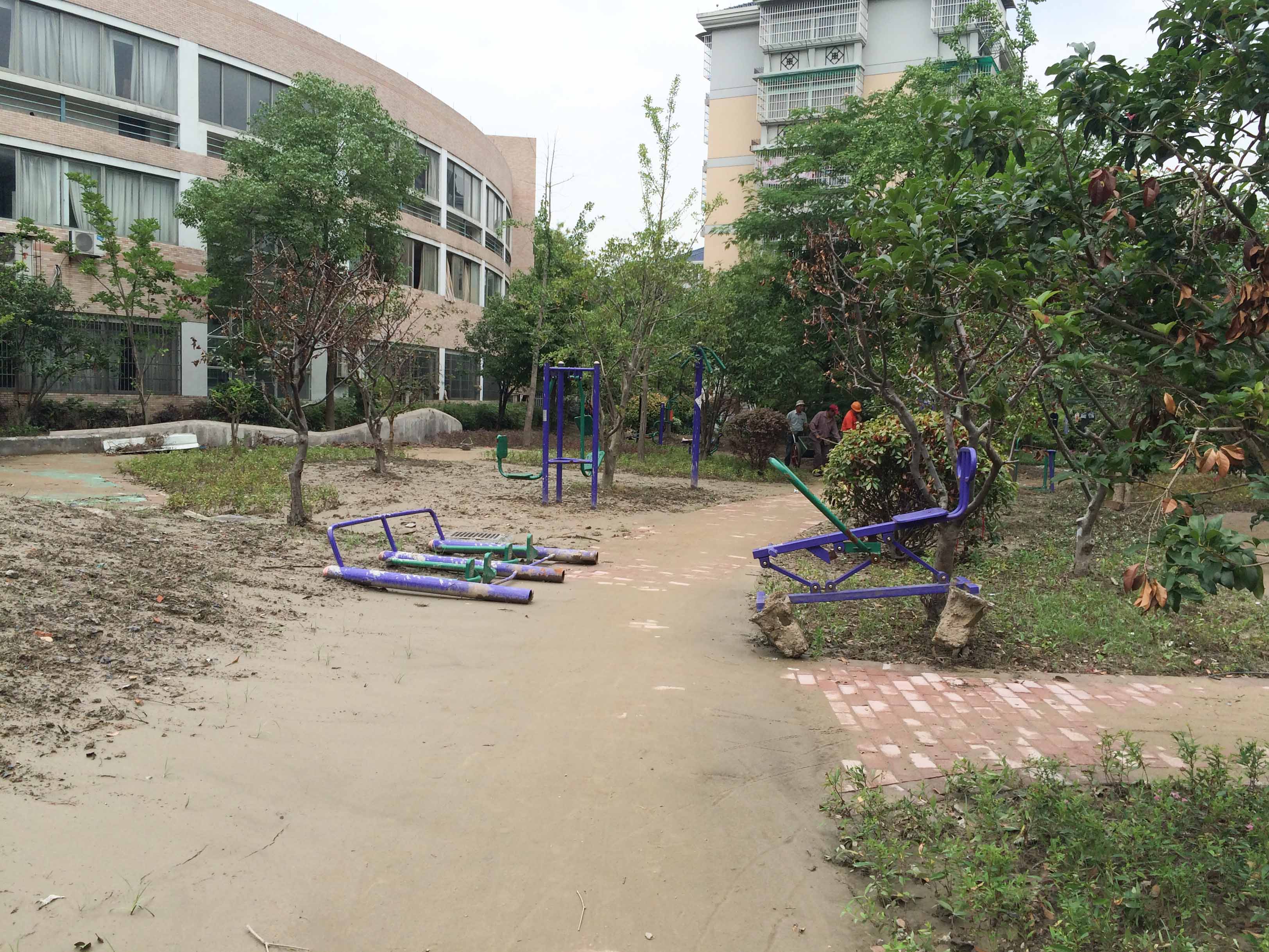迎春小区小区实景 8
