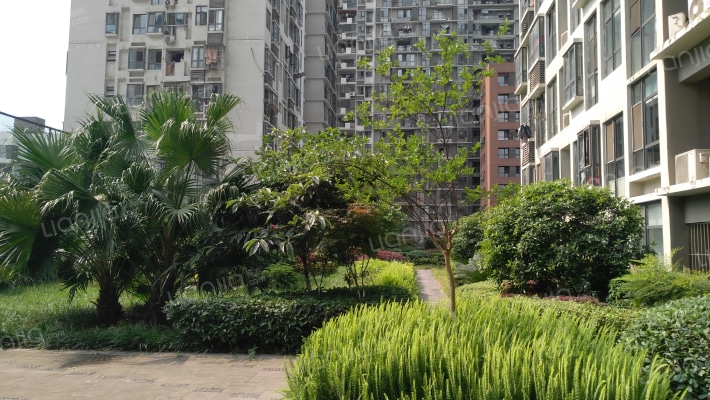 首创爱这城三期外景图