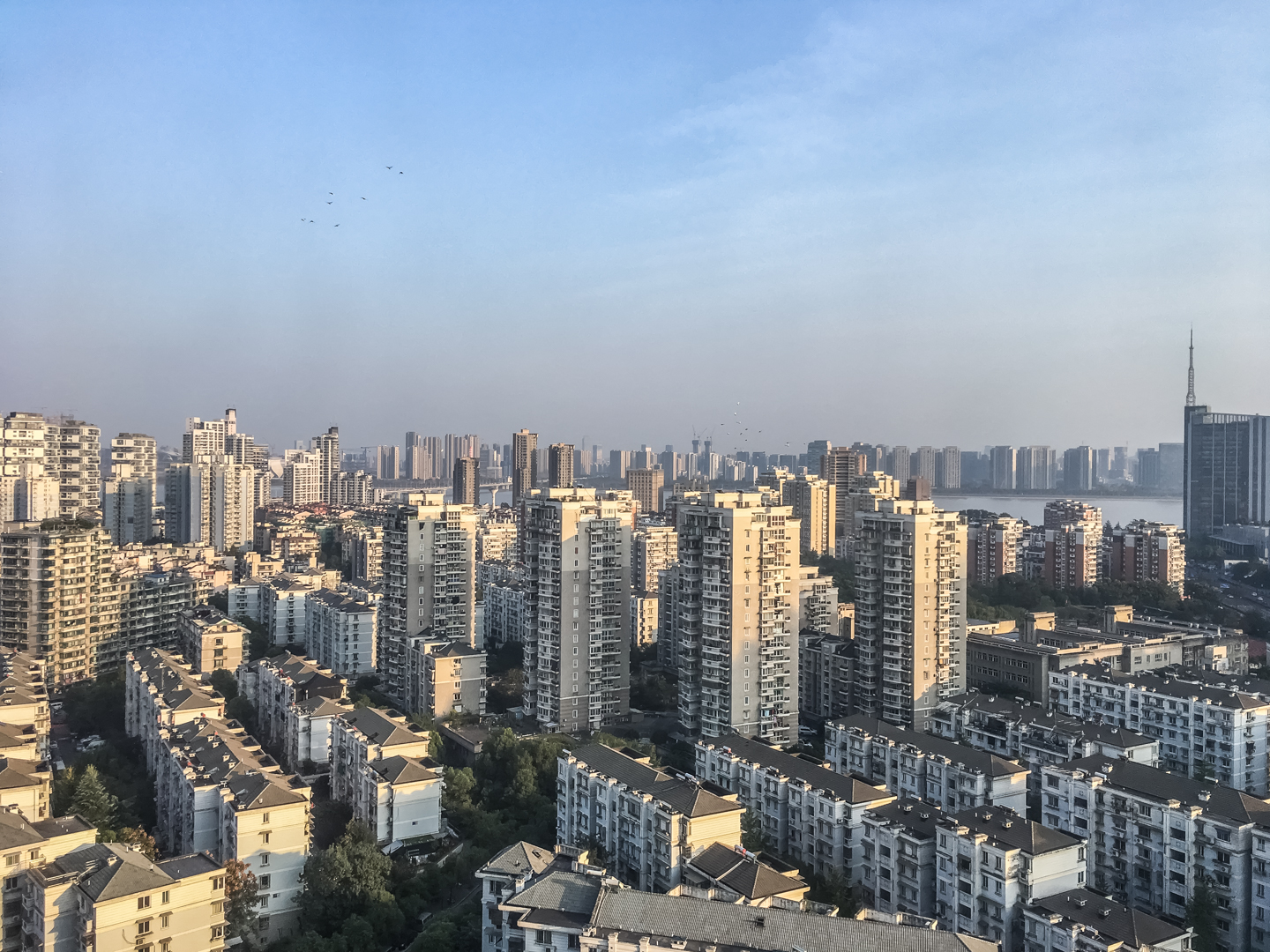 日信国际小区实景 11