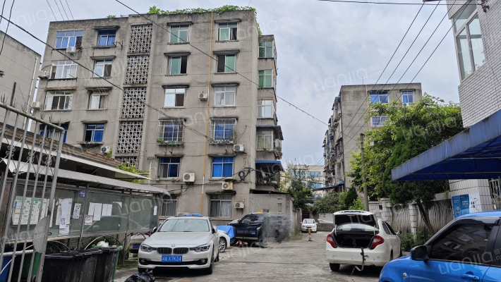 新南街318号外景图