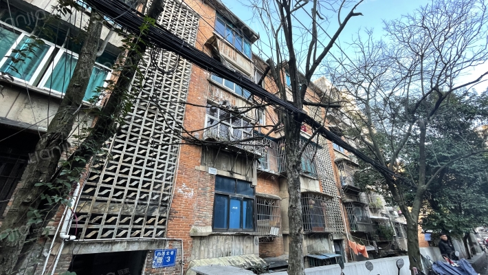 兴关北巷3号外景图