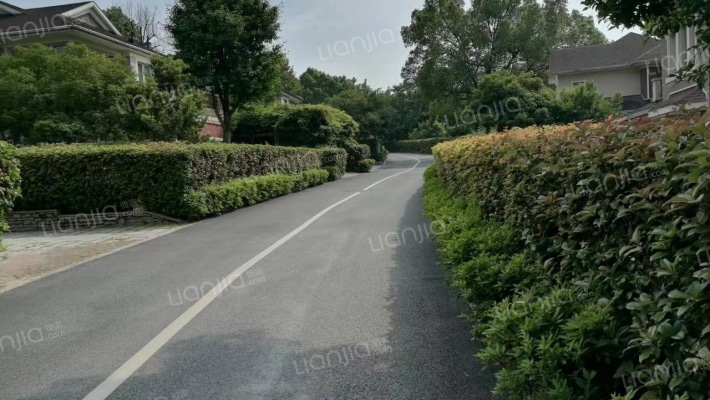 九月森林外景图