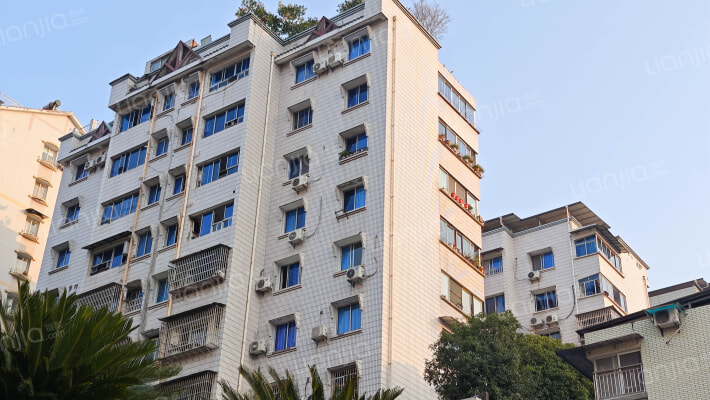 天城东路319号外景图