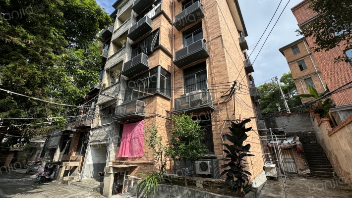 施埔路85号弄15号外景图