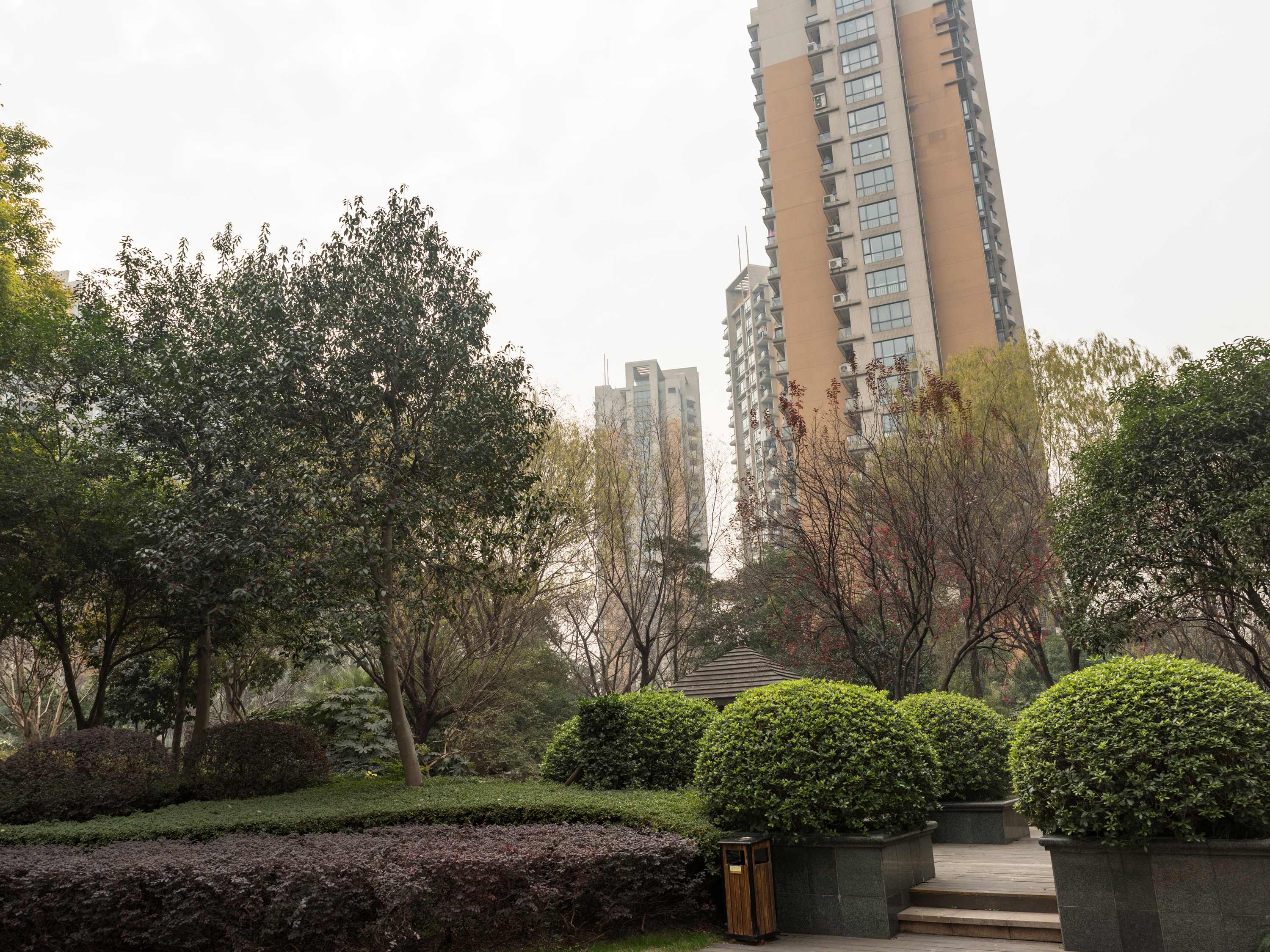 金色家园小区实景 16