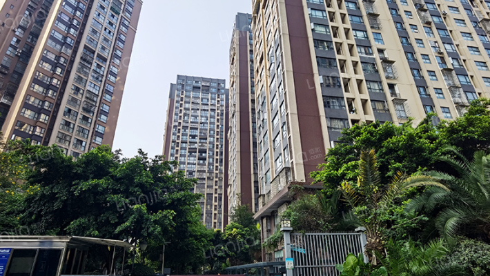 传化国际商务区外景图