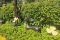 恒大御景湾户型图实景图