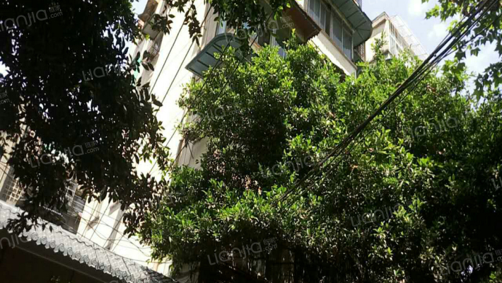 落虹桥街6号院外景图