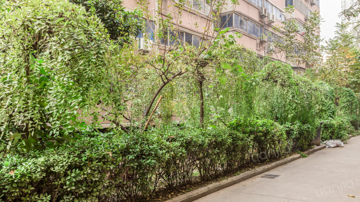 中行家属院外景图