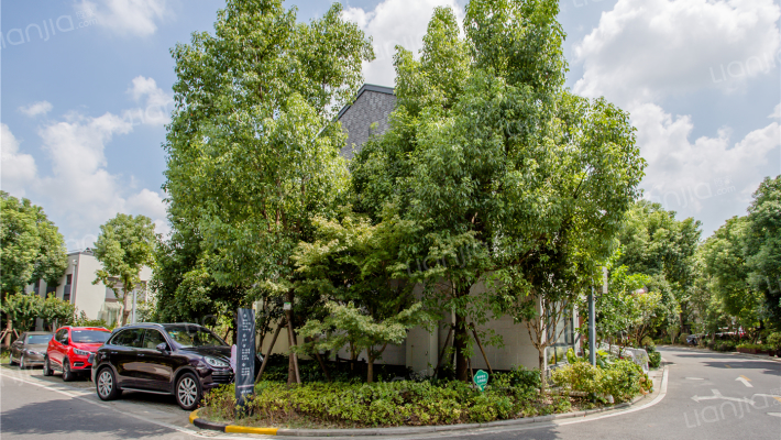 上海房产>上海小区>朱家角小区>九间堂玲珑坊99人关注