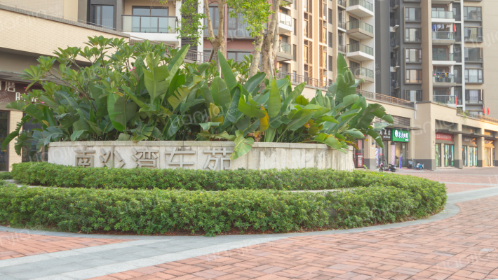 南沙湾东苑外景图