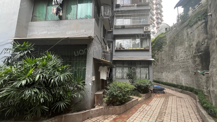 江南大道66号外景图