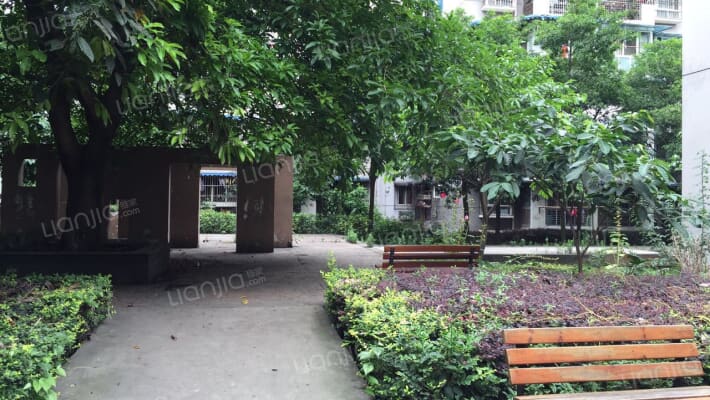 新桥丽景B区外景图