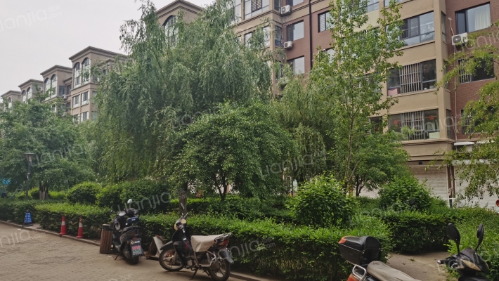 依林东郡外景图