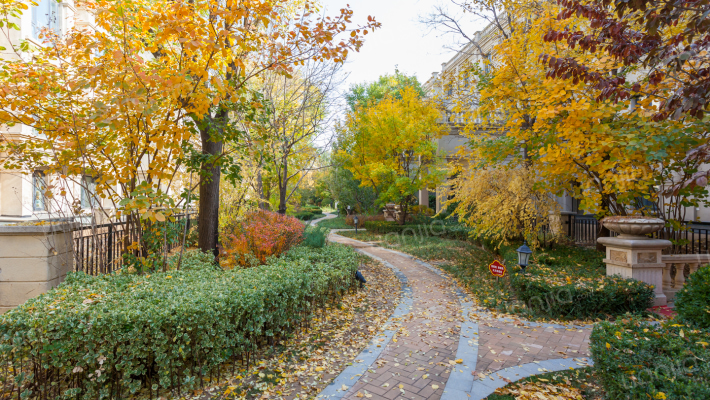 天恒乐墅外景图