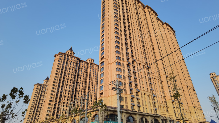 桃园丽璟城外景图